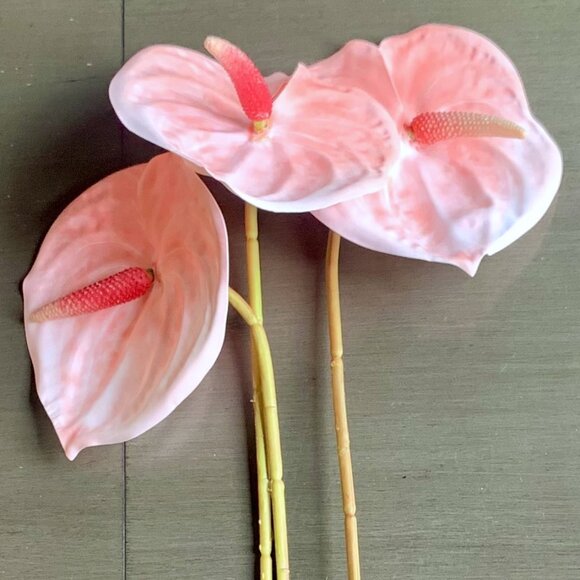 Gorgeous 3 Stems 22.5" Artificial Faux Multicolor Variegated Anthurium Flowers - Picture 12 of 16